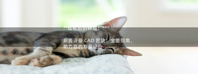 尊龙z6官网ag：**优化后的标题：**

厨房设备 CAD