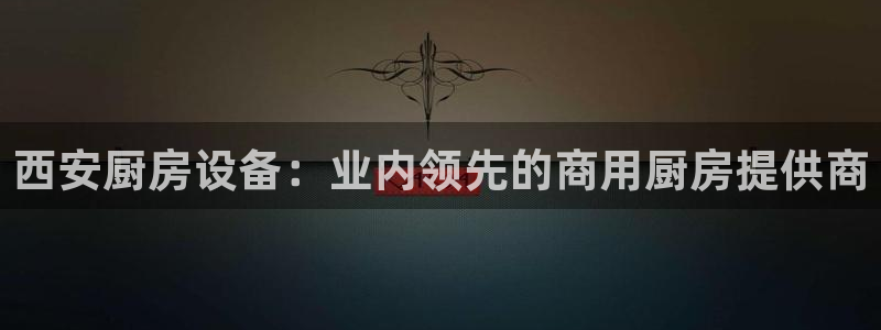 尊龙人生就是博i可靠吗：西安厨房设备：业内领先的商用厨房提供