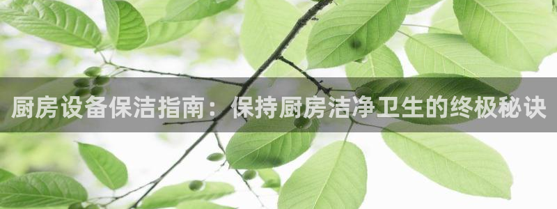 尊龙app最新版本官网：厨房设备保洁指南：保持厨房洁净卫生的